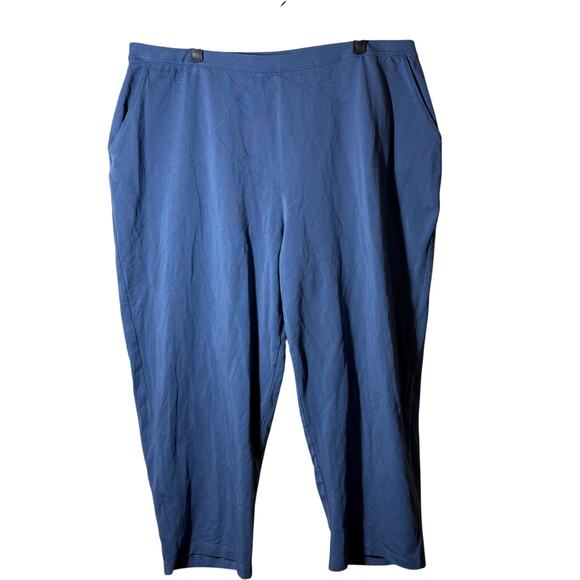 L.L. Bean Blue Ankle Pants - Picture 1 of 6